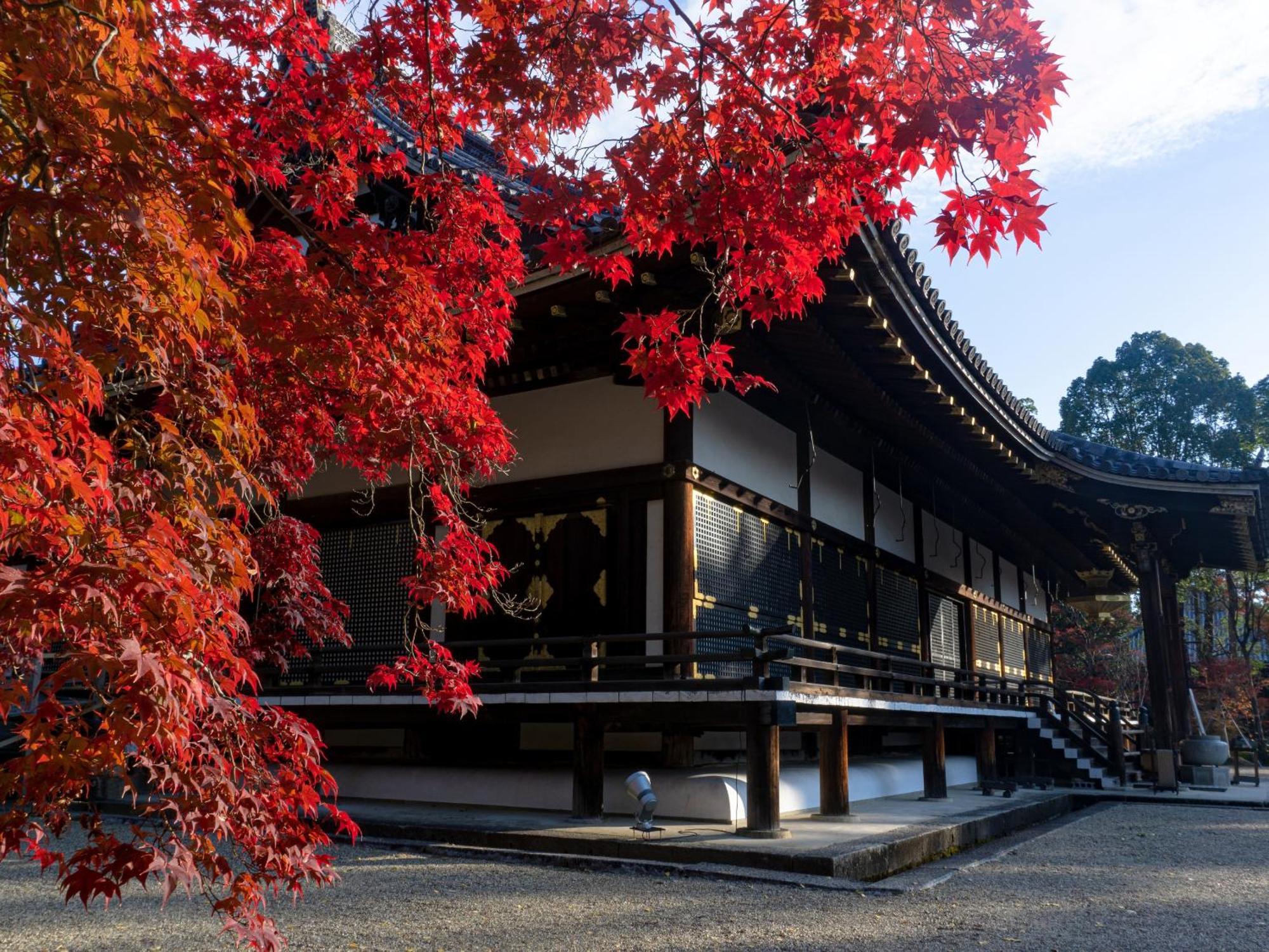 The Blossom Kyoto Exterior photo